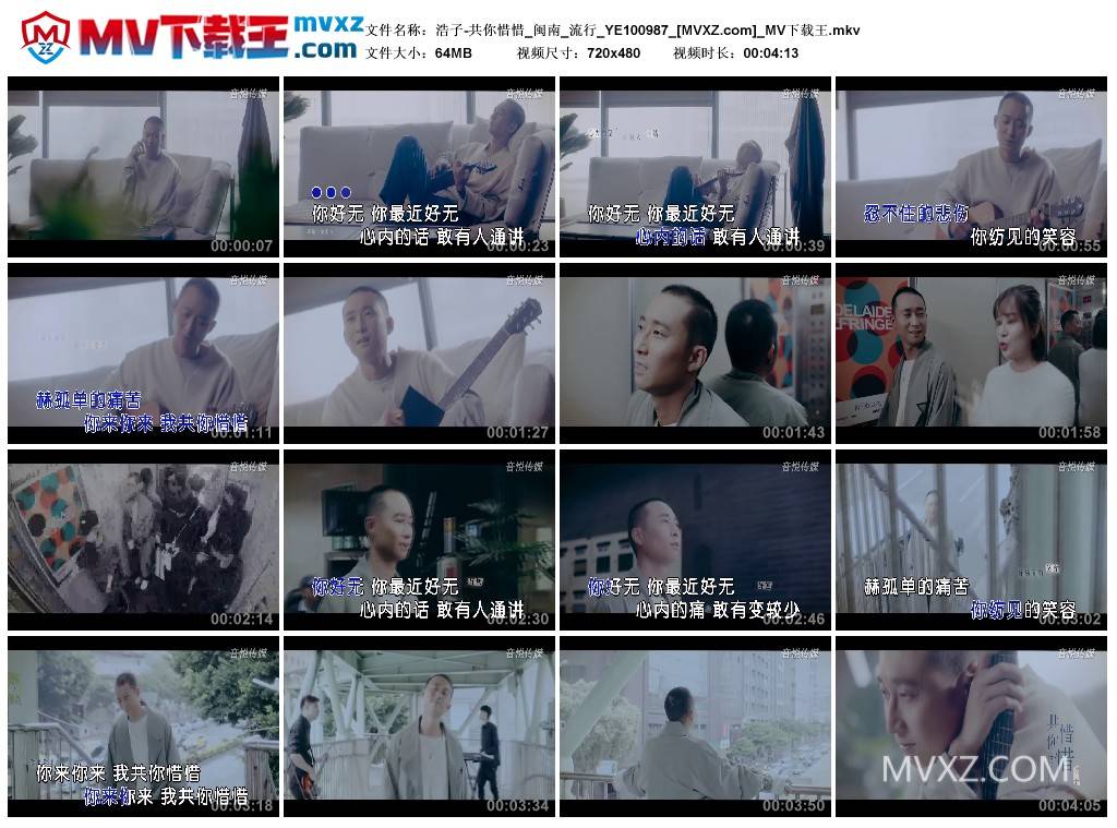 浩子-共你惜惜_闽南_流行_YE100987
